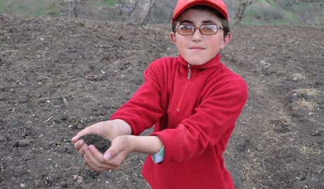 Armenia Economic Dev   