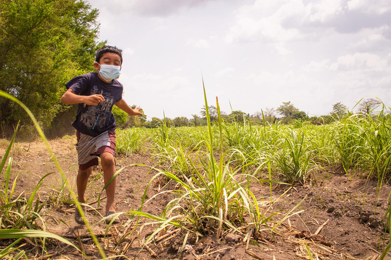 A boy in a T-shirt and shorts runs between rows of plants in a field under a cloudy sky.