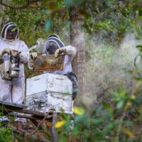 Community action, levers of change: Reorienting more inclusive & resilient local food systems