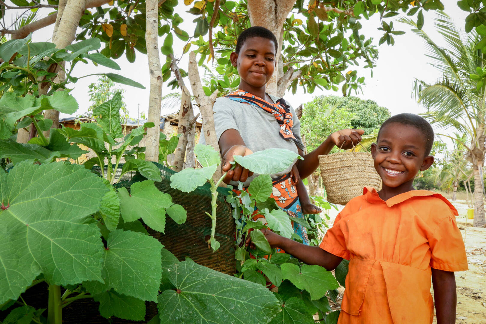 Mother and daughter harvest crops together.