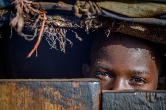 A girl peers from behind a wooden gate.