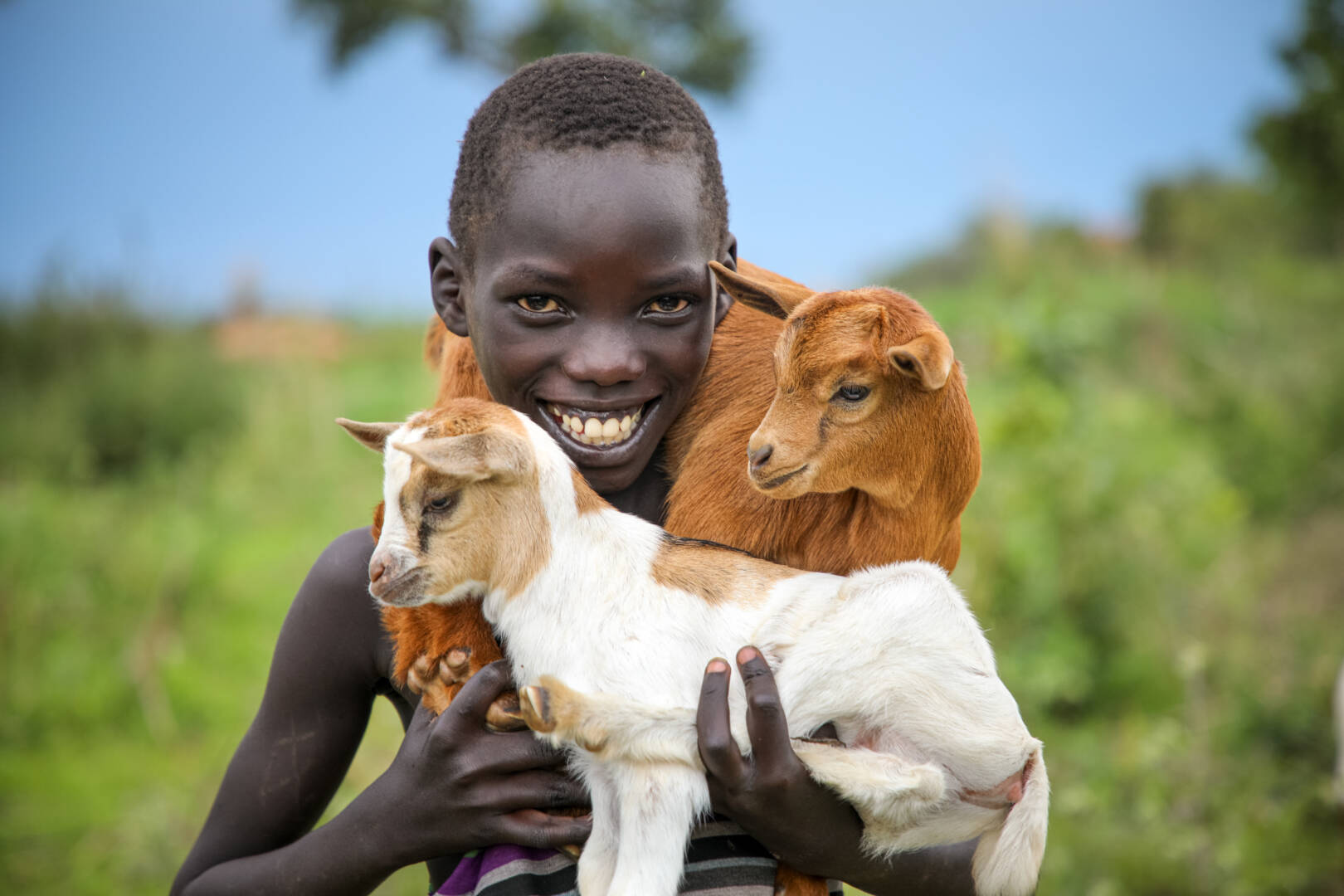 Mustafa, 10, a South Sudanese refugee living in Uganda, poses with the goats that helped save his family.