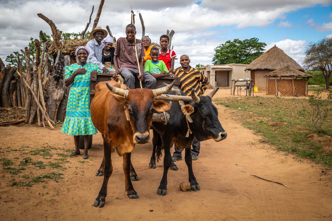 Rosy, Zacks, and their children pose with their cattle and ox cart. When the family was able to buy both those items, they felt they had finally made it, as cattle and ox carts are both expensive items. Rosy dreams that her children will not be defined by the poverty their family once knew and will dream of bigger futures.