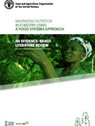 Maximizing Nutrition in Forestry Using a Food Systems Approach (PDF)