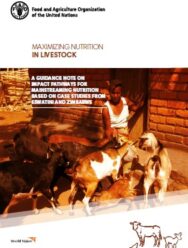 A Guidance Note On Impact Pathways For Mainstreaming Nutrition based on case studies from Eswatini and Zimbabwe (PDF)