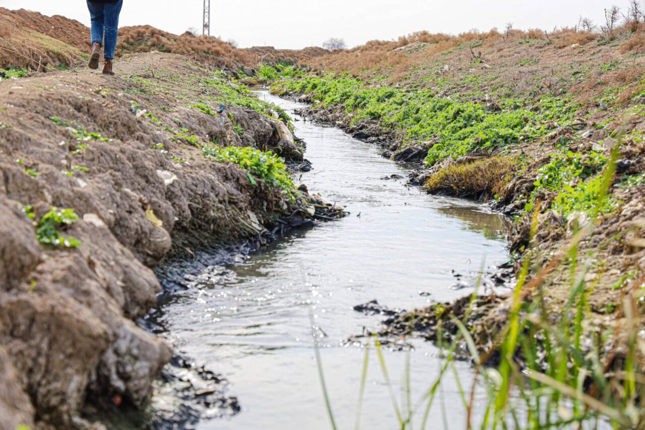 View of an embankment of a small stream of water in Syria. 