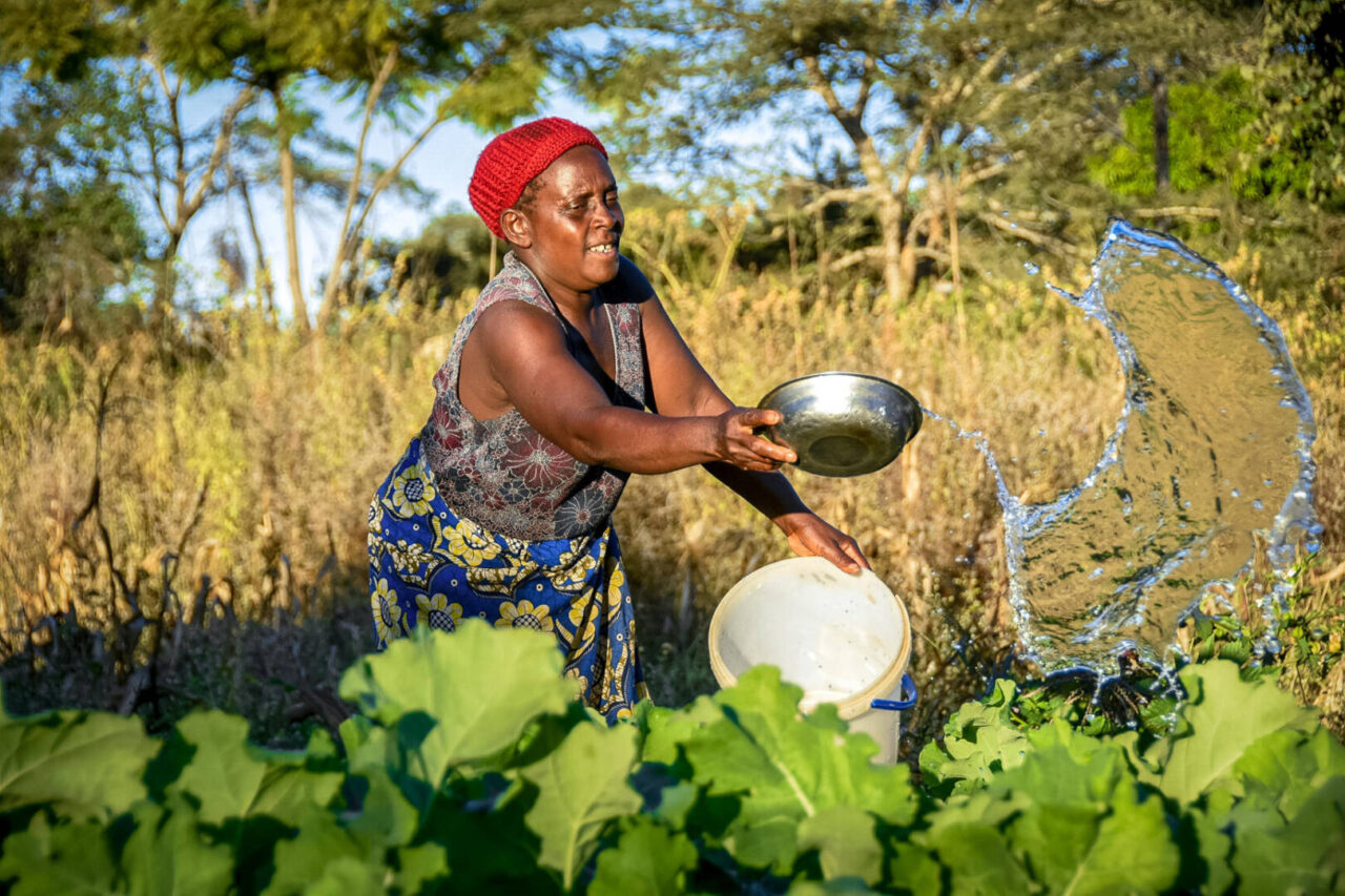 Maves waters her garden with the water provided through a World Vision&ndash;installed water tap. World Vision is reaching one new person every 10 seconds and three more schools every day with clean water. A Zambian woman in a red hat and flowered dress throws water from a tin bowl onto leafy green vegetables growing in a garden.