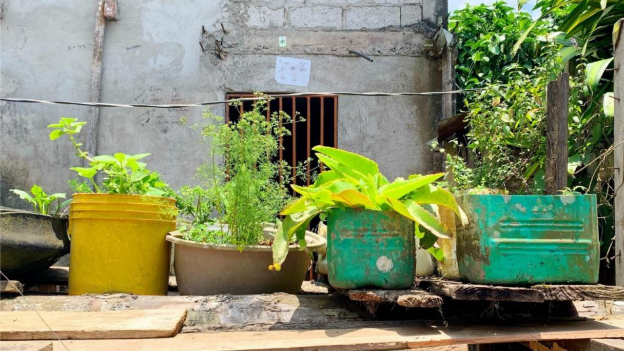 No matter where you live, there's always something special about coming home. Home blogger Abby Lawson shares what she learned about a thriving home while visiting Ecuador.